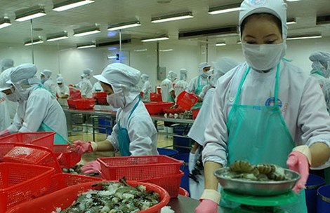 Tien si ke chuyen ban tom, dau tho o Nhat hinh anh