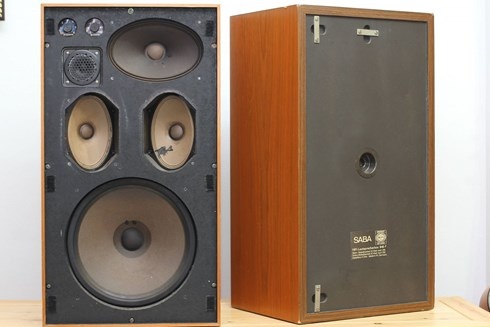 Nghe nhac sen, chon loa gi cho hop? hinh anh