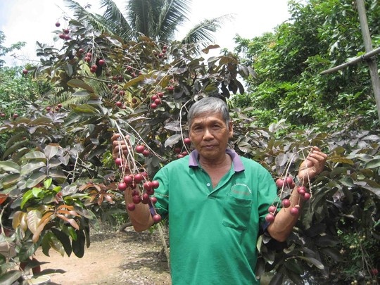 Nhan tim Soc Trang dang bi lam gia hinh anh