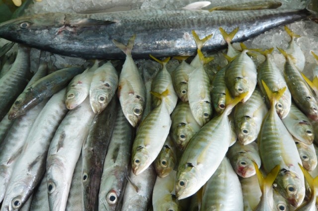Nên chọn mua hải sản ở những cửa hàng có uy tín để tránh mua phải hải sản bị ướp hóa chất. Ảnh minh họa.