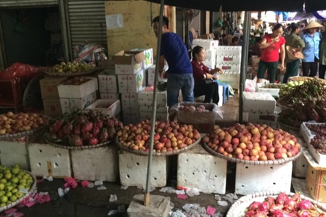 Le, tao, thanh long: Ra khoi thung la thanh hang mien Nam hinh anh