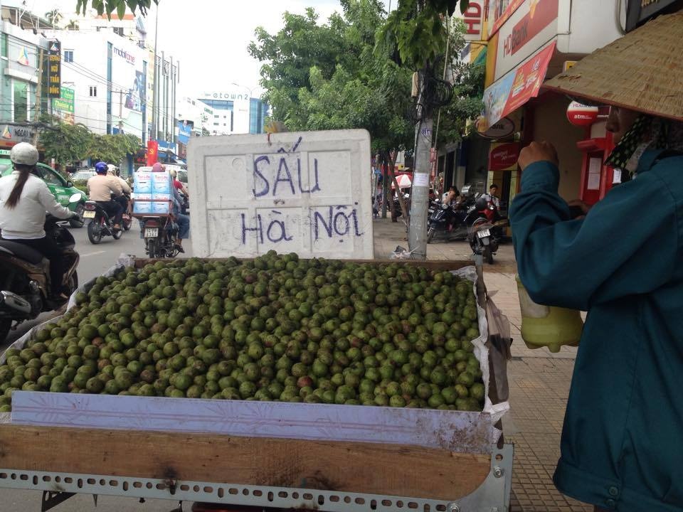 Het mua 20 ngay van co sau Ha Noi ban o Sai Gon? hinh anh