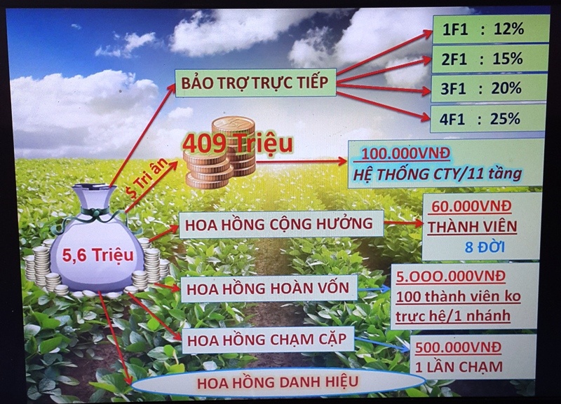 Ban phan bon kieu da cap, hau qua kho luong hinh anh