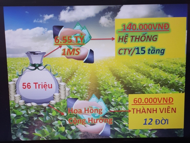 Kiếm tiền tỷ chỉ bằng... nước bọt.