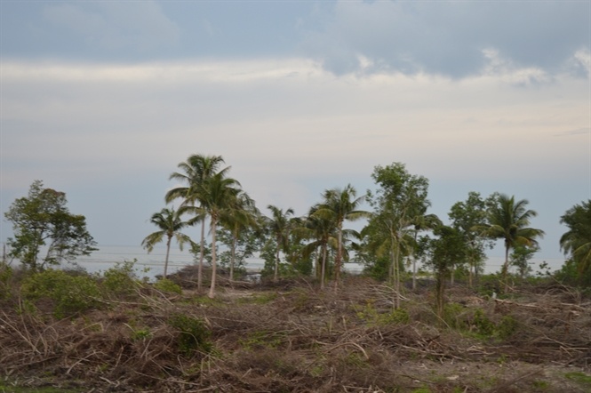 Một khu đất ven biển đang được cò rao bán với giá hàng chục tỷ đồng mỗi công.