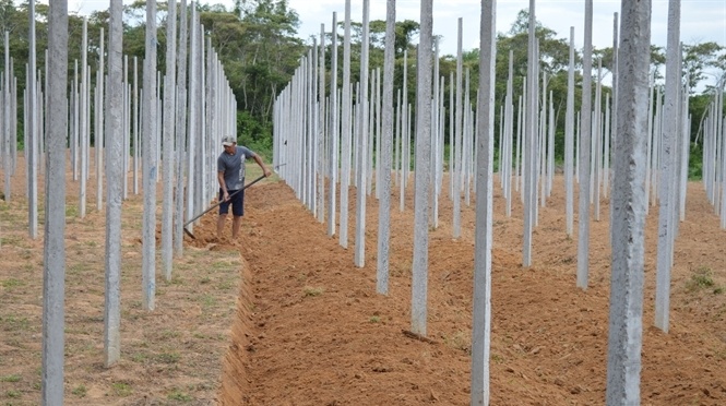 Nong bong dat Phu Quoc: Co tien ty moi noi chuyen hinh anh