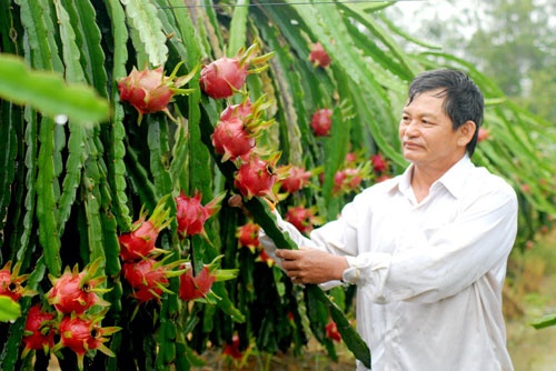 Giam le thuoc thuong lai Trung Quoc hinh anh