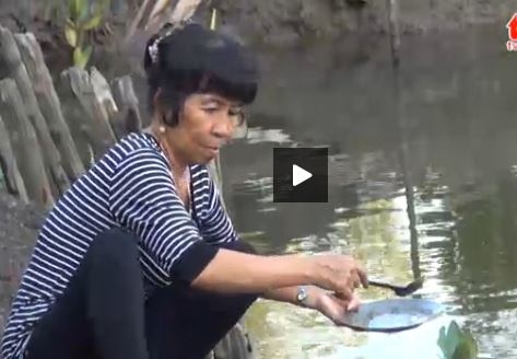 Vao rung nuoi thuy san hinh anh