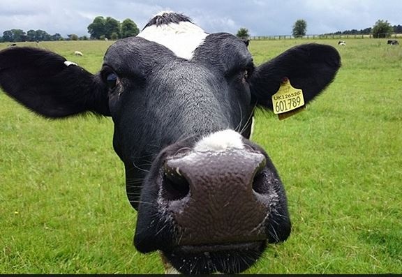 Khi đã xây dựng Google thành đế chế tỷ đô, Brin vẫn giữ niềm đam mê với thể dục thể thao của mình. Anh thường mặc quần áo tập thể dục, đi giầy Vibram, thường xuyên tập yoga giữa các buổi họp hay đi bằng tay để giải trí.