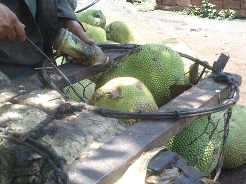 Trai cay dep nho hoa chat hinh anh