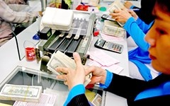 Bat ngo tang ty gia: Ai loi, ai thiet? hinh anh