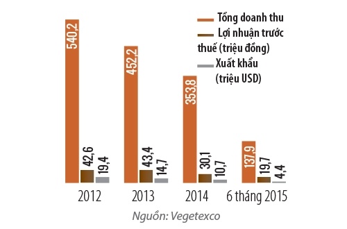 Các chỉ số kinh doanh cơ bản của Vegetexco.
