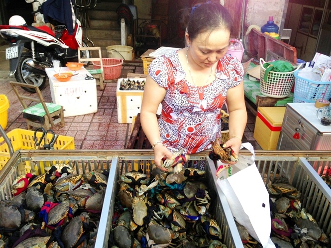 Cua Ca Mau rot gia the tham hinh anh