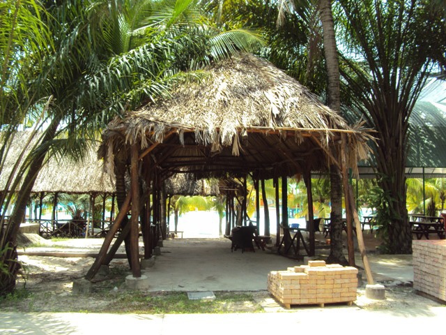 Ong Dung 'lo voi' no thue: Bo Tai chinh bac thanh tra tinh? hinh anh