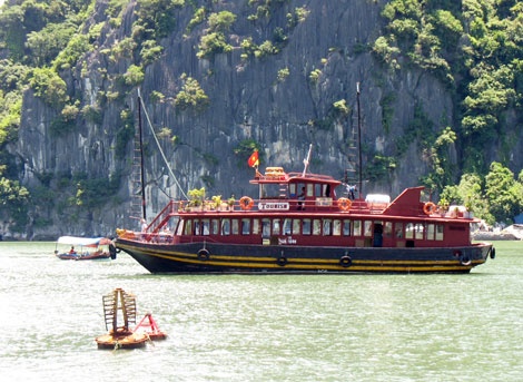 2,5 trieu dong mot con oc o vinh Ha Long hinh anh