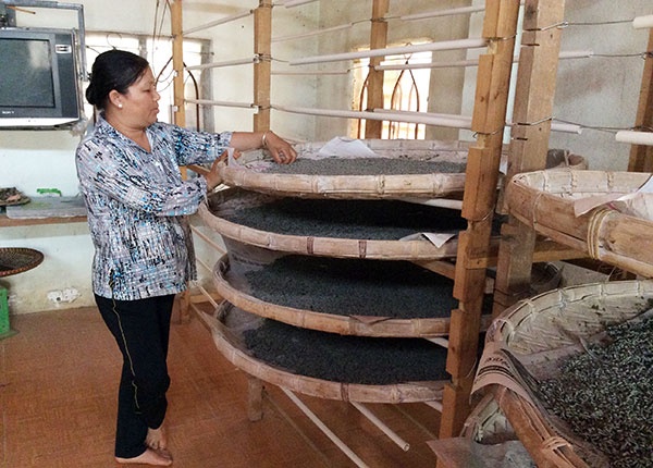 Vuon len tu nuoi tam trung hinh anh