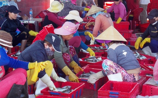 Trung dam ca kinh hinh anh