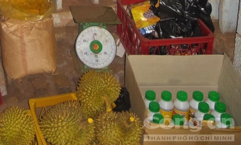 Dot kich co so tam hoa chat cho sau rieng o Dak Lak hinh anh