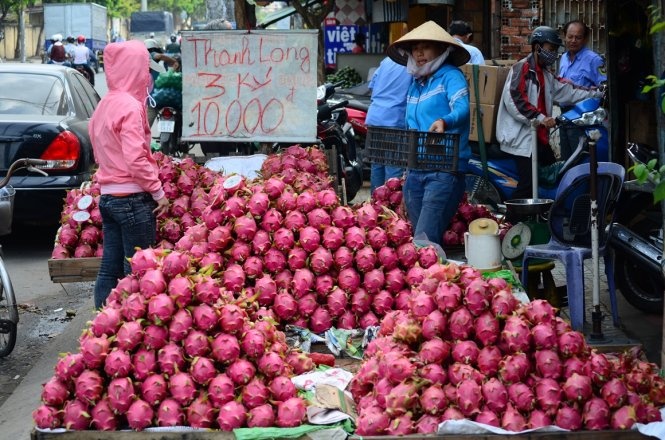 Thanh long gia beo 3.000 dong/kg o via he TP HCM hinh anh