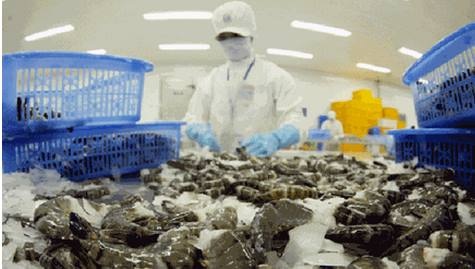 My giam thue chong ban pha gia cho tom Viet Nam hinh anh