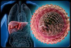 Hình ảnh virut viêm gan B.