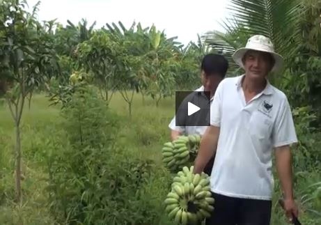 Thu nhap mot thang 30 trieu tu chuoi hinh anh