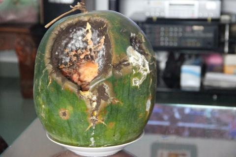 Bên còn do con ông dùng tay chọc vào nên bị hỏng.