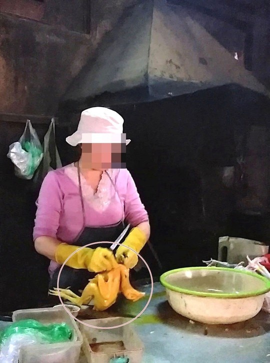 Con gà sau khi được nhuộm thuốc có màu vàng bắt mắt.