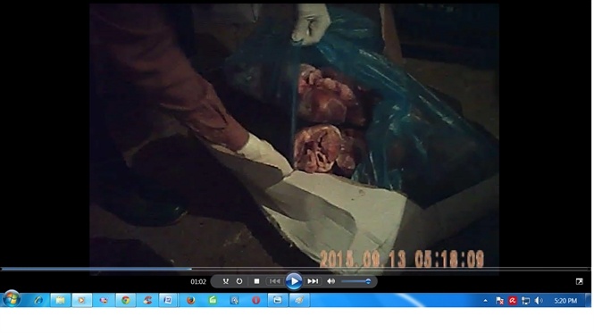 Tim đông lạnh được bảo quản trong túi ni lông, và hộp bìa các tông, không hề có đá hoặc vật dụng làm mát.