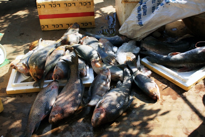 Rồi vứt đống trên mặt đất như thế này.