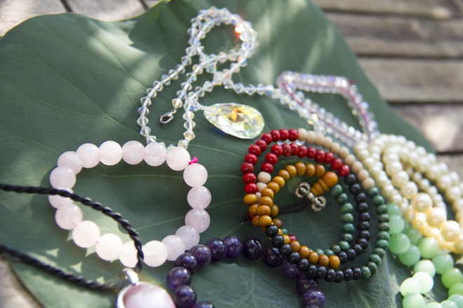 Bo tien ty mua da chua benh hinh anh