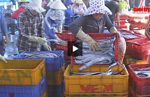 Ngu dan trung dam mua ruoc, ca ho hinh anh