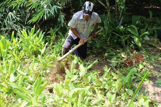 Nghe nui Cam: Trong choi kiem ca chuc trieu dong hinh anh