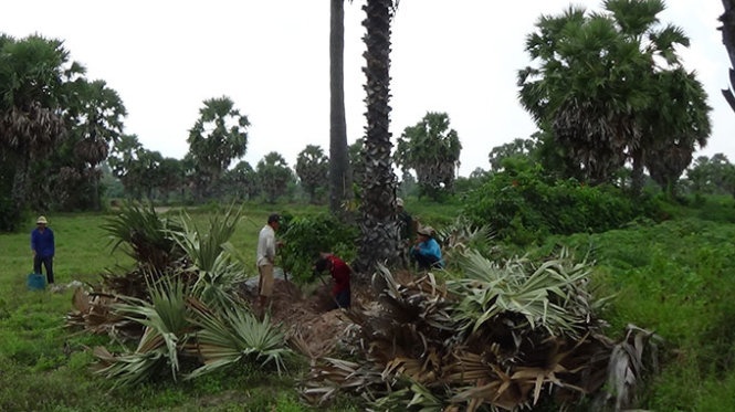 “Linh hồn” Bảy Núi đang mất dần.