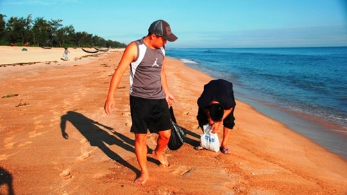 Dân địa phương chỉ cần đi dọc bờ biển là bắt được một lượng lớn hải sâm.