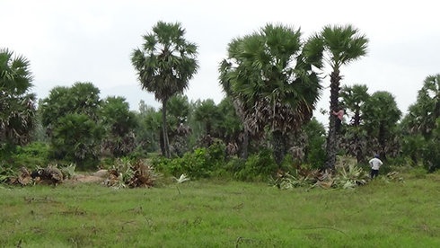 Khong nen  do xo trong  thot not hinh anh