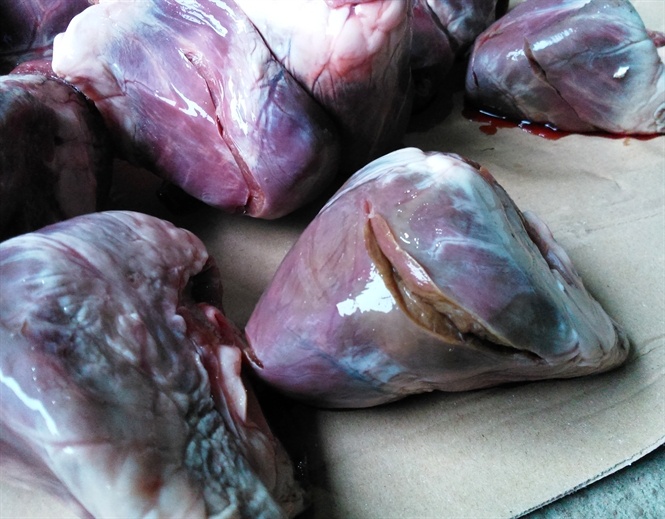 Những quả tim đông lạnh đang trong thời gian phân hủy, bốc mùi hôi thối.