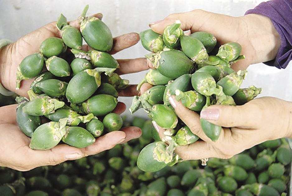 Thuong lai tiep tuc lung mua cau non o Ha Noi hinh anh