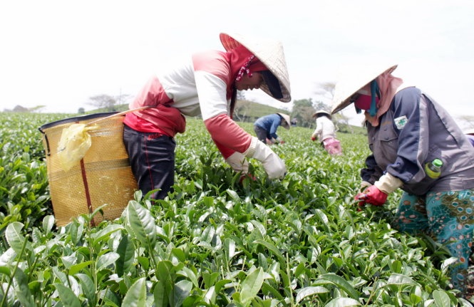 Tra no mua che tuoi bang... tra hinh anh