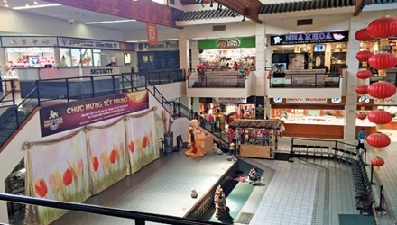 Nguoi My kinh doanh, nguoi Viet lam an hinh anh