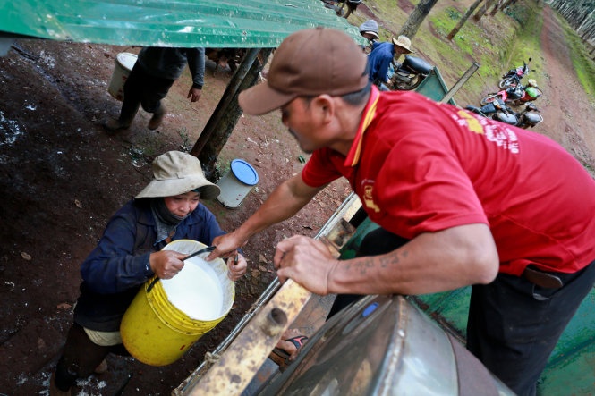 Con tom, ca phe, cao su... gap kho hinh anh