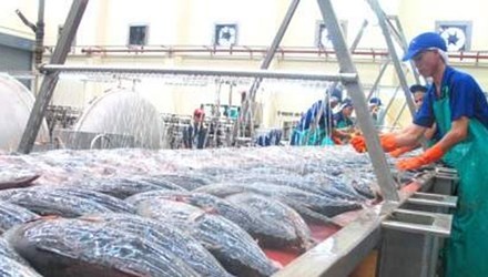 Tang luong toi thieu vung lam giam thu nhap hinh anh