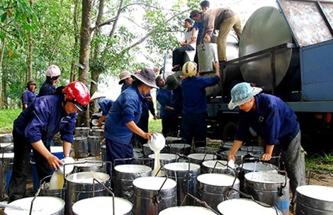 Tap doan Nha nuoc tinh chuyen TPP hinh anh