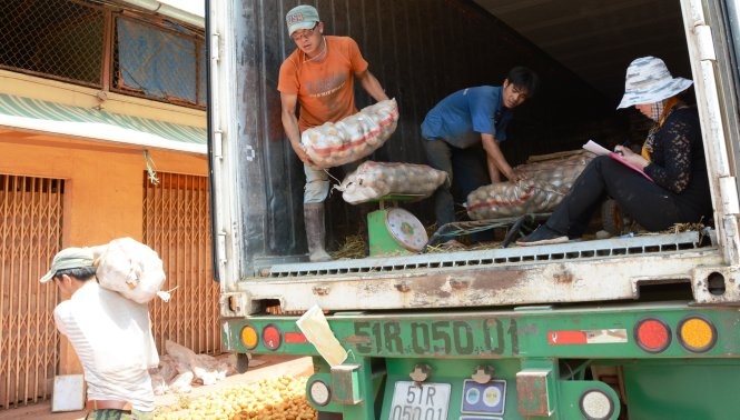 Khoai tây Trung Quốc ở thời điểm còn được nhập vào chợ nông sản Đà Lạt.