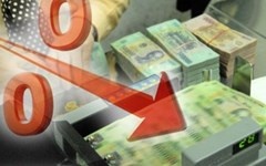 Dai bieu QH de nghi giam lai suat cho vay ve muc 5-7% hinh anh