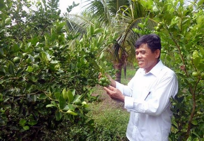 Ban la chanh an ga luoc sang Tay thu trieu do hinh anh