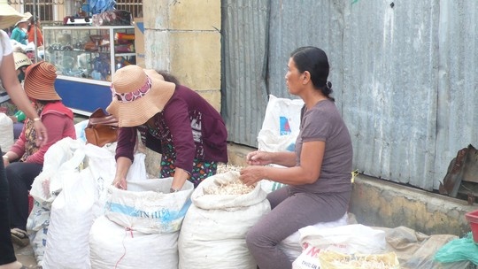 Hanh, toi Ly Son co can cuu giup? hinh anh