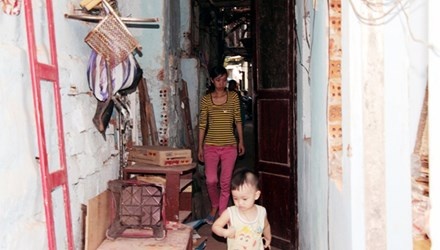 Nha o chuot bong dung sot gia hinh anh