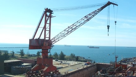 Xoa bo ngay 65% dong thue nhap khau khi TPP co hieu luc hinh anh