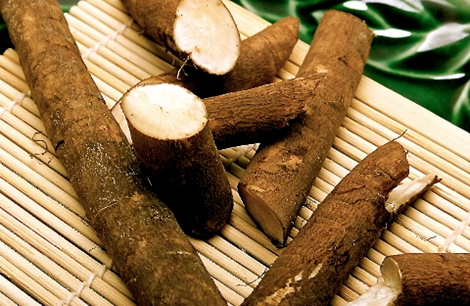 Rễ cây ngưu bàng. Ảnh minh họa.